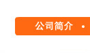 公司简介