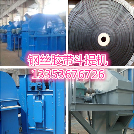 鋼絲膠帶鬥式提升機組圖