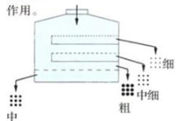 圓形搖擺（bǎi）篩