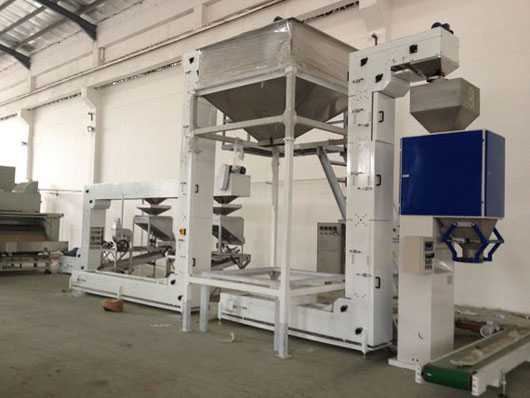 Z型鬥（dòu）式提升機