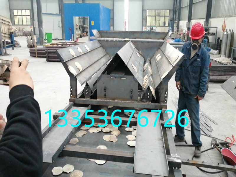 扇貝（bèi）排序篩-扇（shàn）貝（bèi）排序直線篩廠家-可大小分級正反分類2